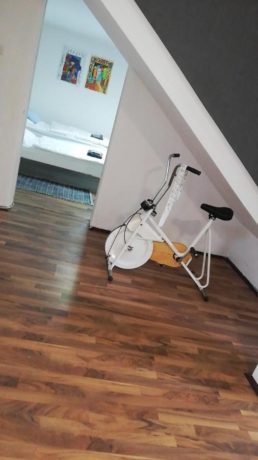 Apartman Romy Pančevo Pokoj fotografie