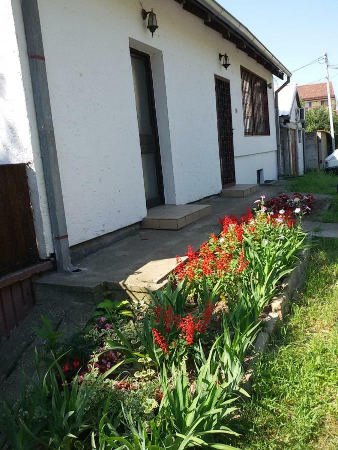 Apartman Romy Pančevo Exteriér fotografie
